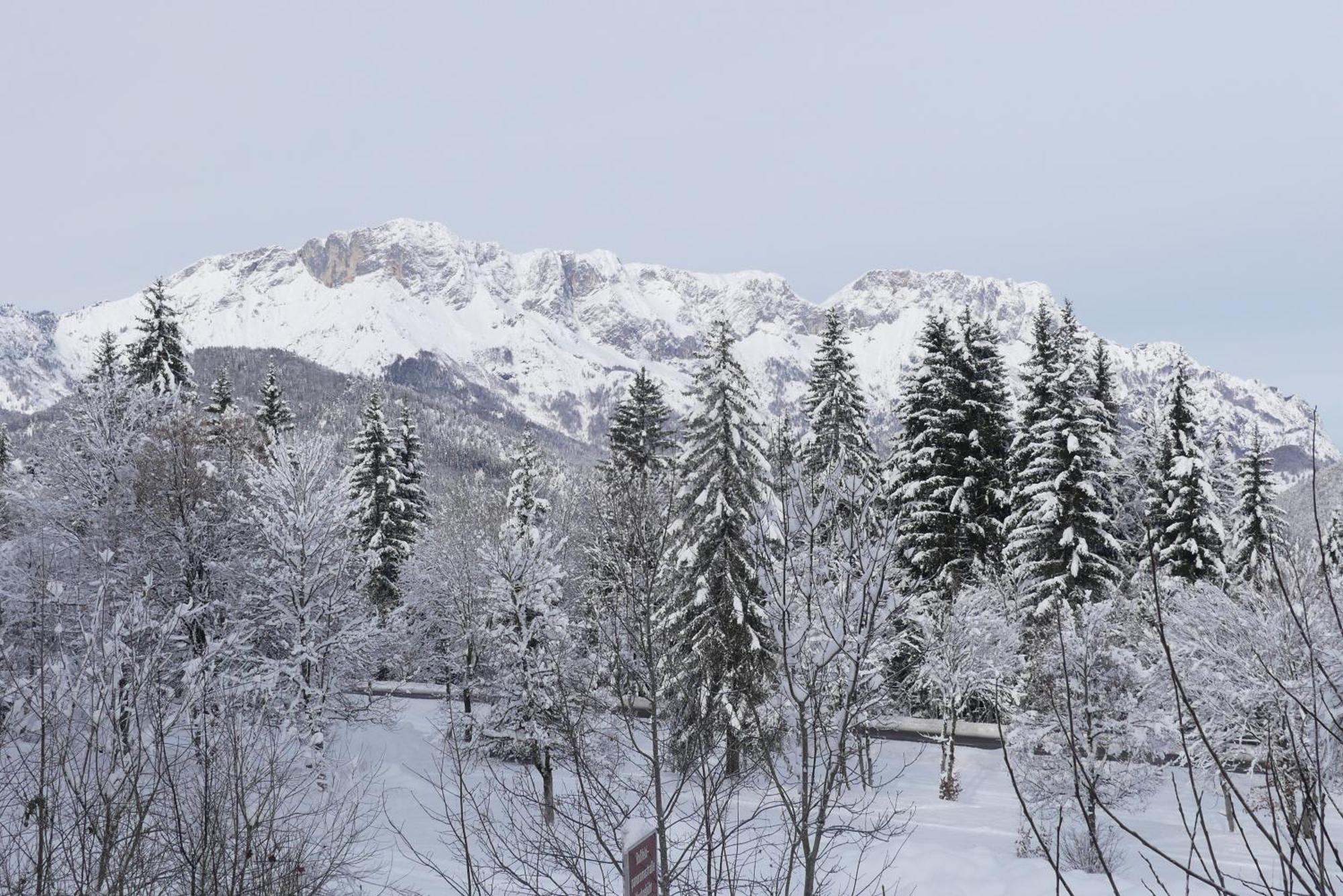 Ferienwohnungen Haus Kunterbunt Berchtesgaden Kültér fotó